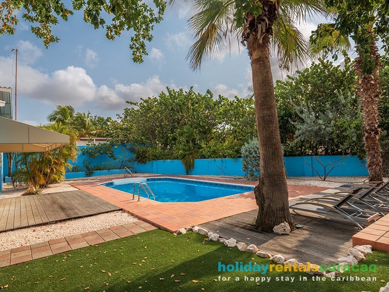 Groot zwembad in een tropische tuin