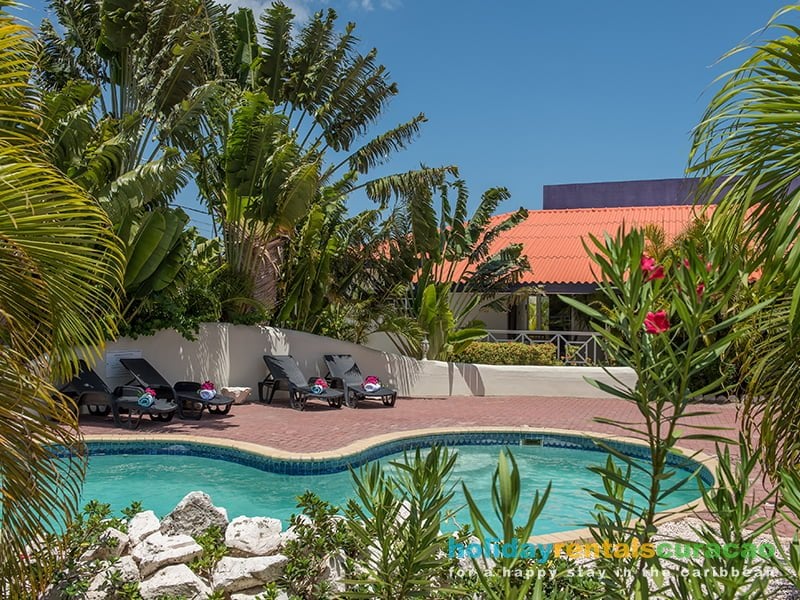 Gezamelijk zwembad in tropisch aangelegde tuin