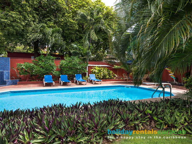 Zwembad in de tropische tuin met veel privacy