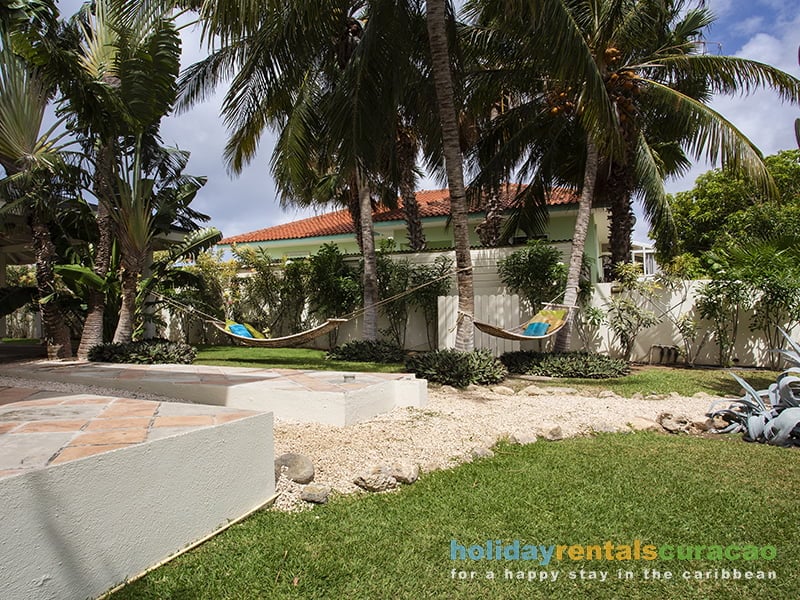 Tropische tuin met hoge palmbomen.