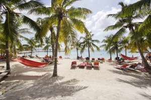 Blue Bay Beach Curaçao – wit zandstrand met palmbomen, hangmatten en kristalhelder water