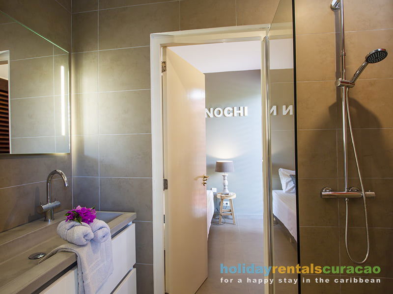 Moderne badkamer met douche