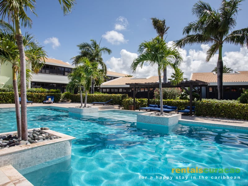 Zwembad met vele palmbomen Curacao
